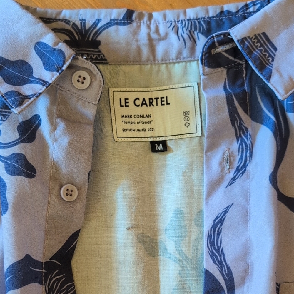 Blue Casual Button Down Shirt